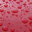 Free Exterior Detail with Collision Repair 